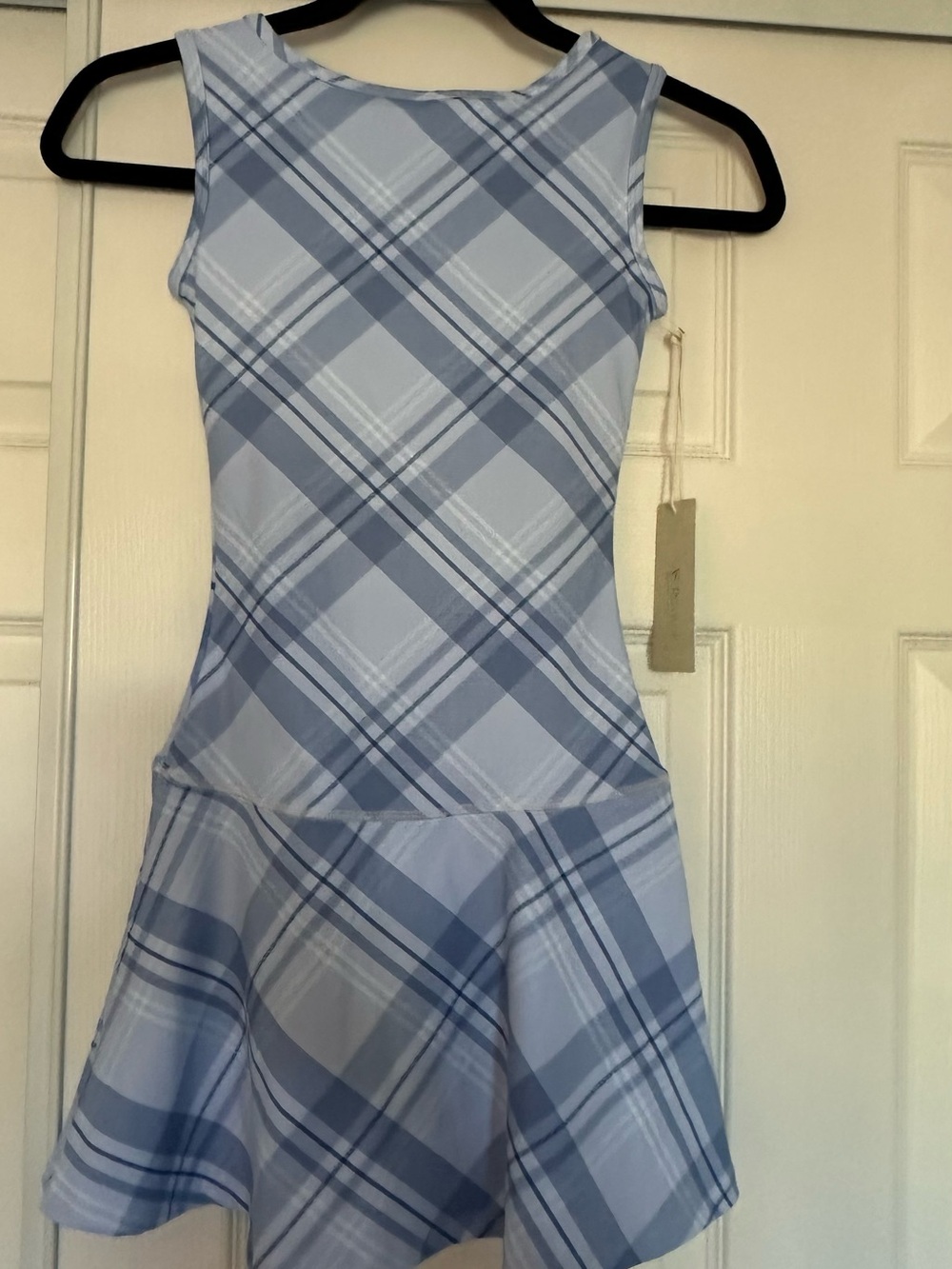 Altar'd State Blue Plaid Sleeveless Fit & Flare Dress